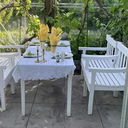 Store Diget * Hjørring