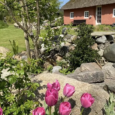 Bed & Breakfast Store Diget Hjørring