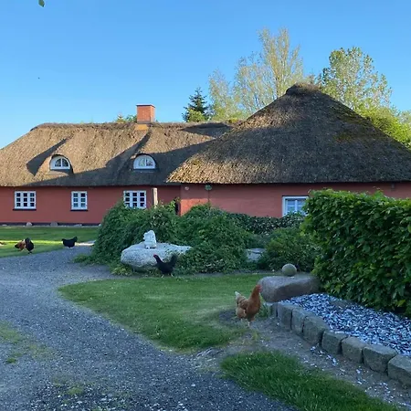 Bed & Breakfast Store Diget