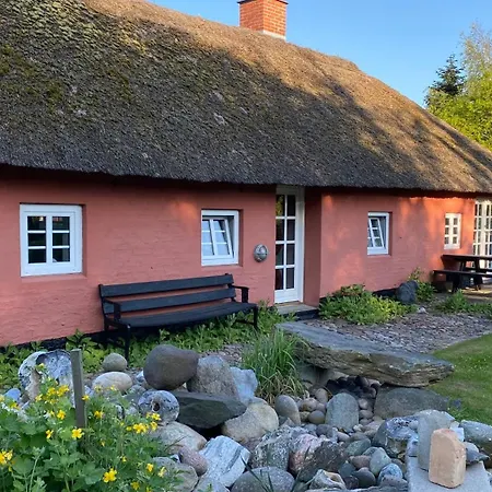 Store Diget Bed & Breakfast Hjørring