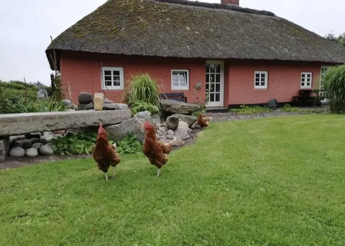 Store Diget Alojamento de Acomodação e Pequeno-almoço