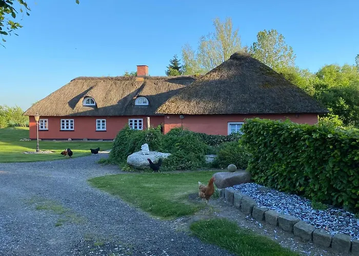 Alojamento de Acomodação e Pequeno-almoço Store Diget